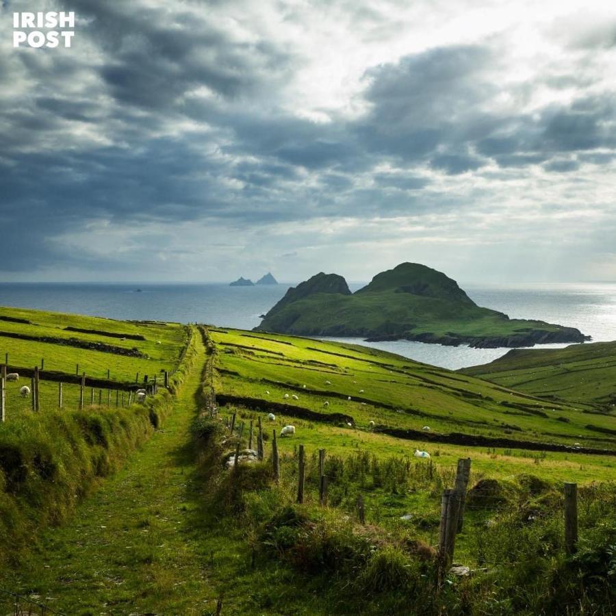 Skellig Port Accommodation - 1 Studio Bed Apartment Portmagee Exterior foto